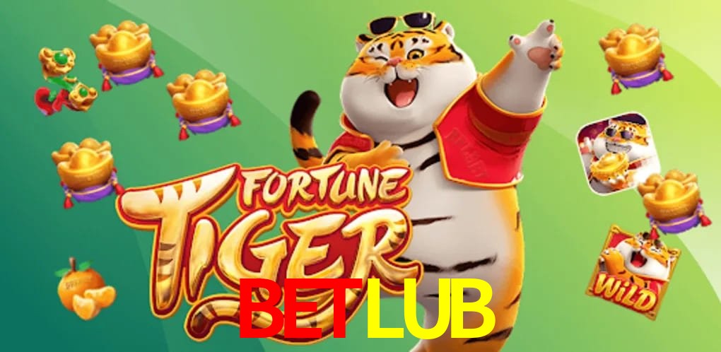 Experiência VIP BETLUB